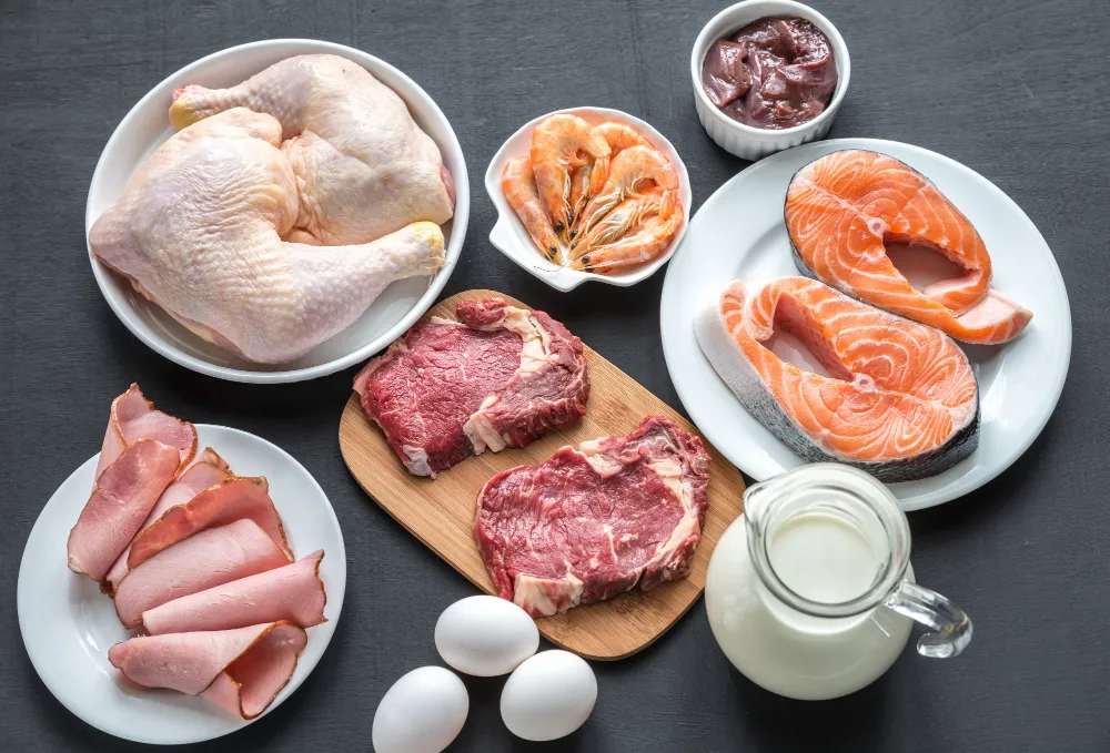 Protein Diyeti Nedir? Faydaları, Riskleri ve Kilo Verme Etkisi