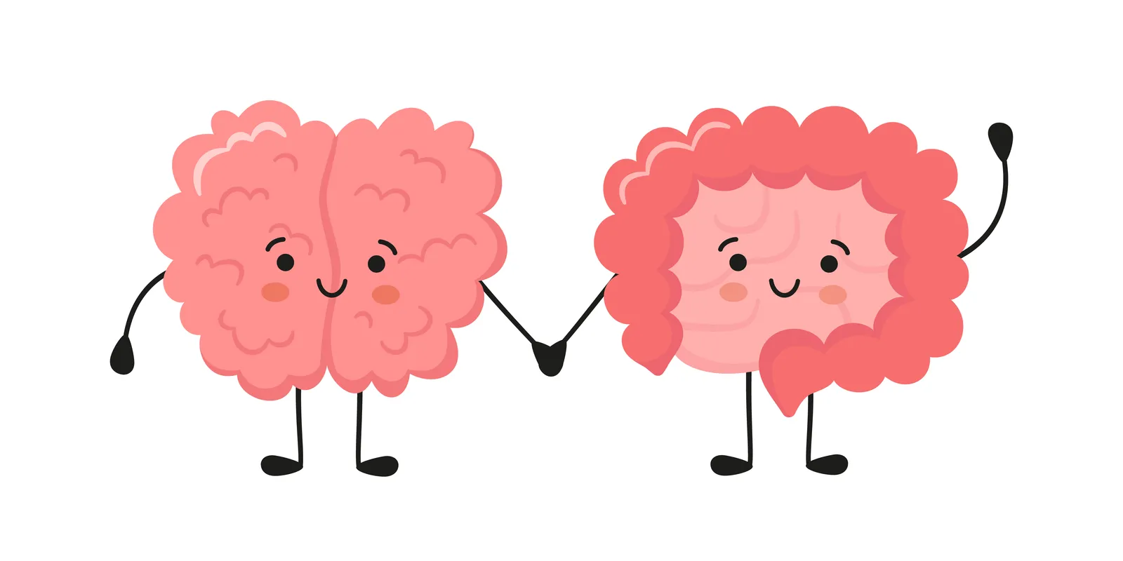 Sağlıklı Bağırsak Nedir? Bağırsak Sağlığı Neden Bu Kadar Önemli?